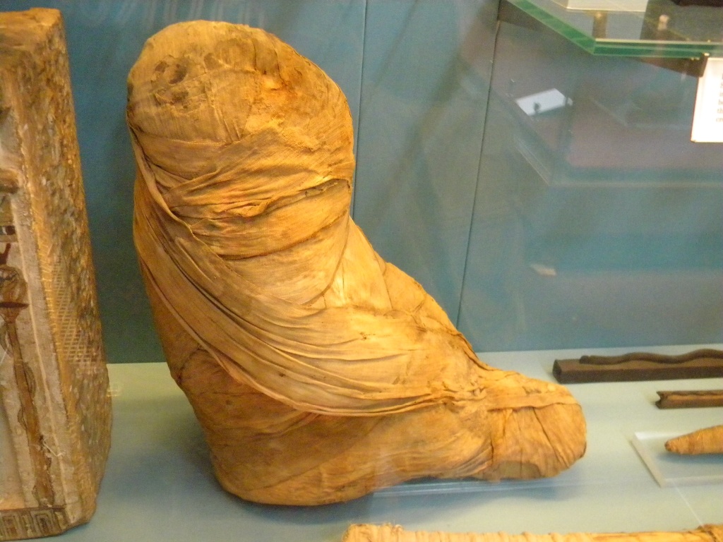 Mummified baboon